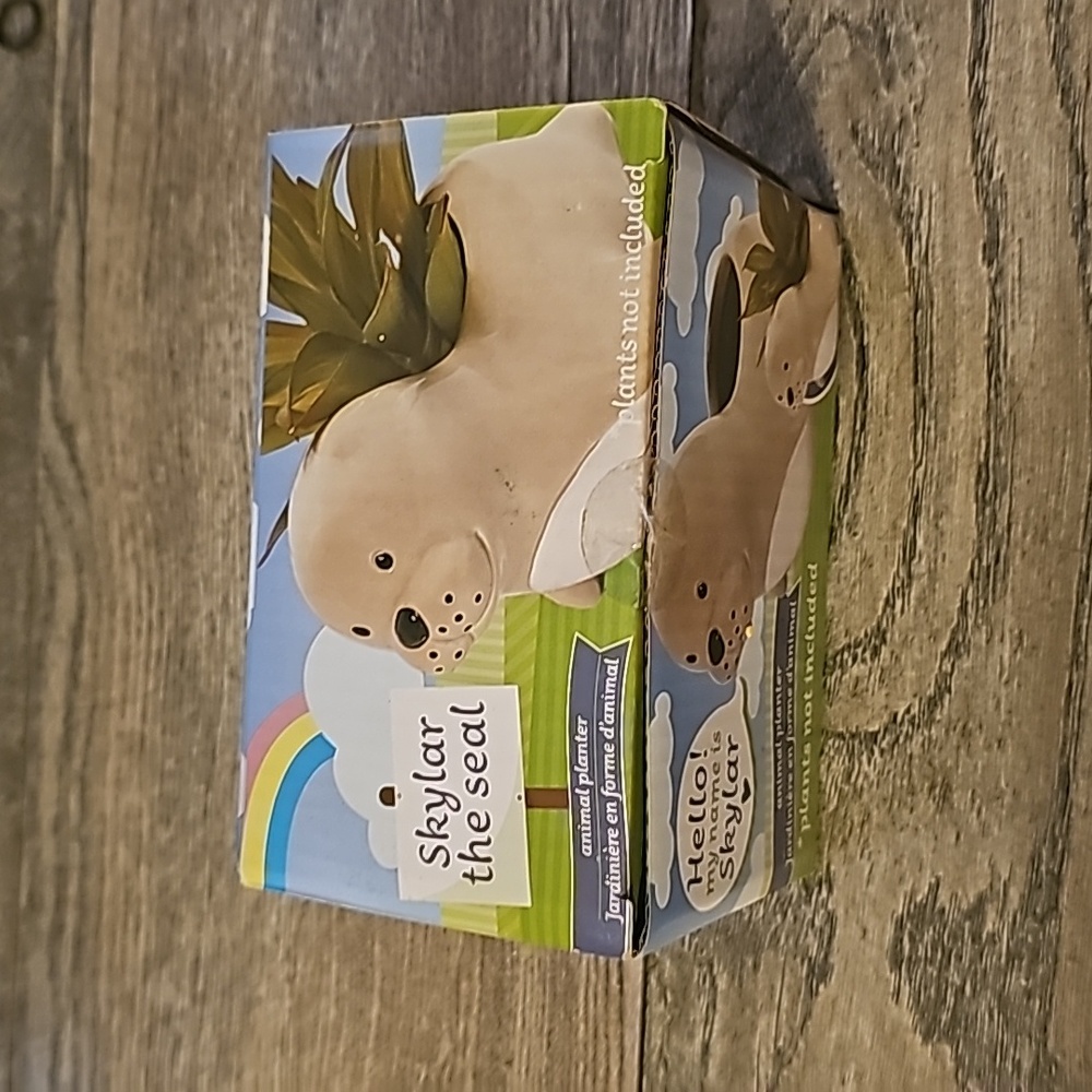 Skylar the seal succulent planter small new